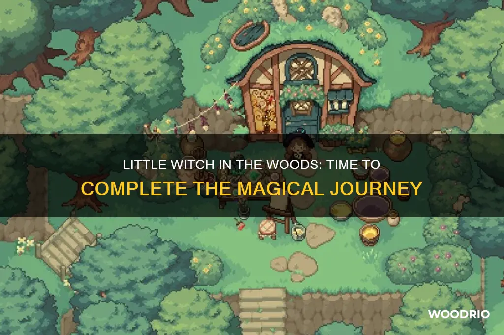 how long to beat little witch in the woods