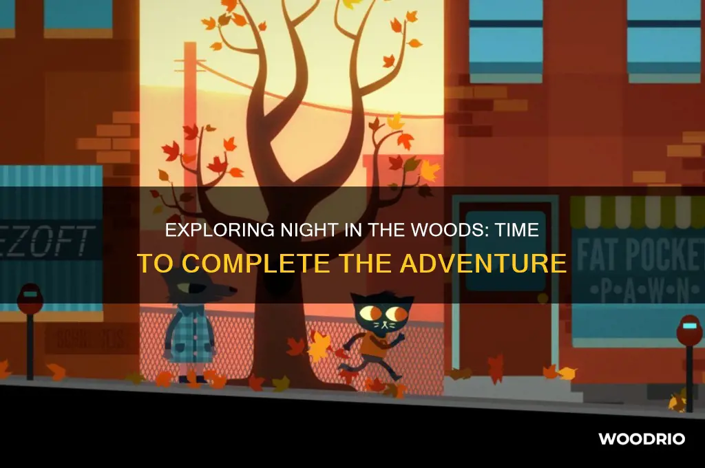 how long to beat night in the woods