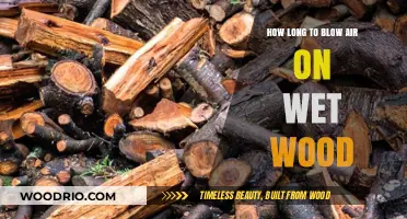 Drying Wet Wood: Optimal Air Blowing Time for Effective Results
