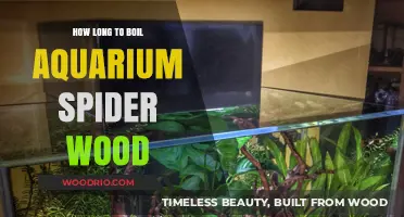Boiling Aquarium Spider Wood: Time and Tips for Perfect Results