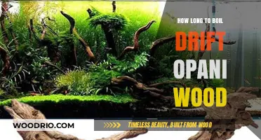 Boiling Drift Opani Wood: Optimal Time for Perfect Results