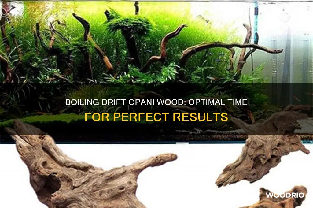 how long to boil drift opani wood