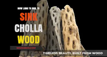 Boiling Cholla Wood: Perfect Timing for Sinking in Aquariums