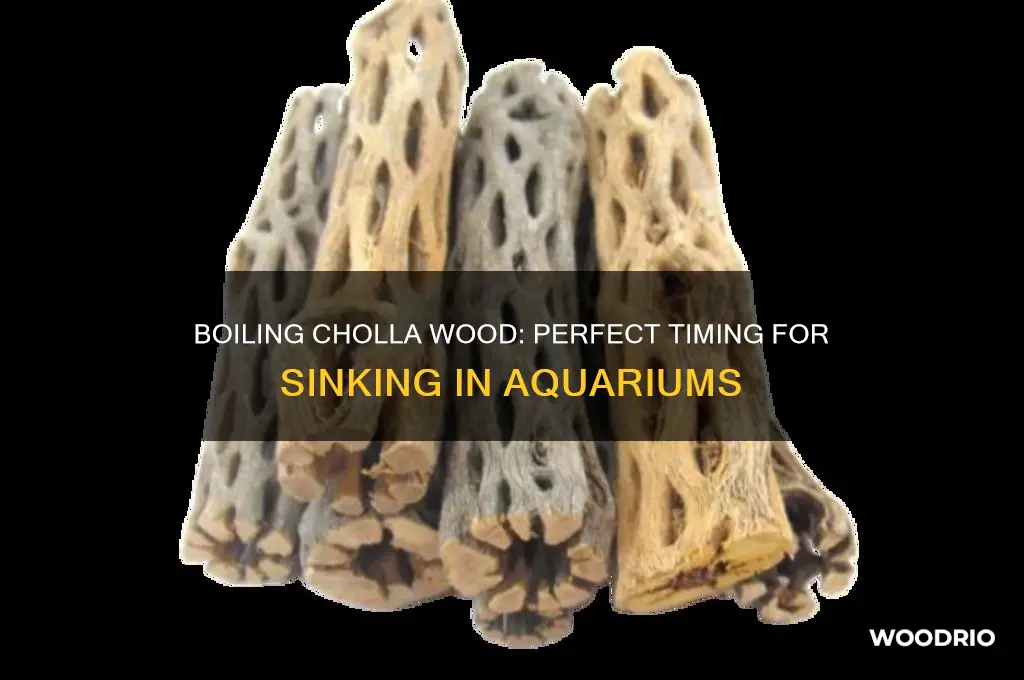 how long to boil to sink cholla wood