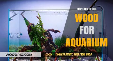 Boiling Wood for Aquariums: Optimal Time for Safe Submersion