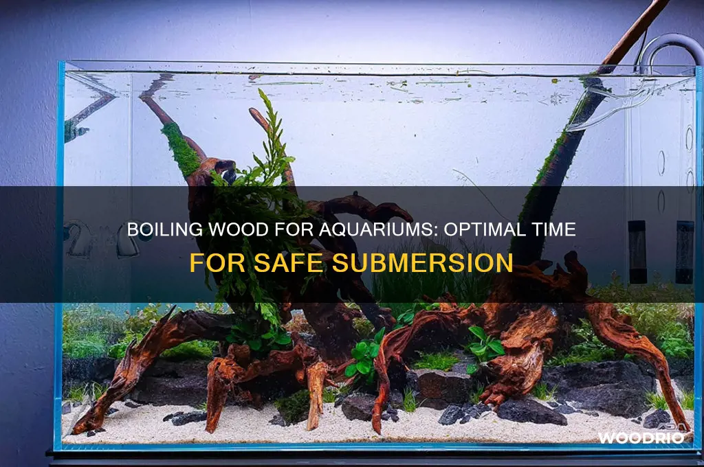 how long to boil wood for aquarium