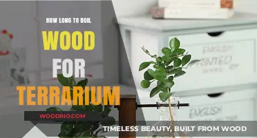 Boiling Wood for Terrariums: Optimal Time and Techniques Explained