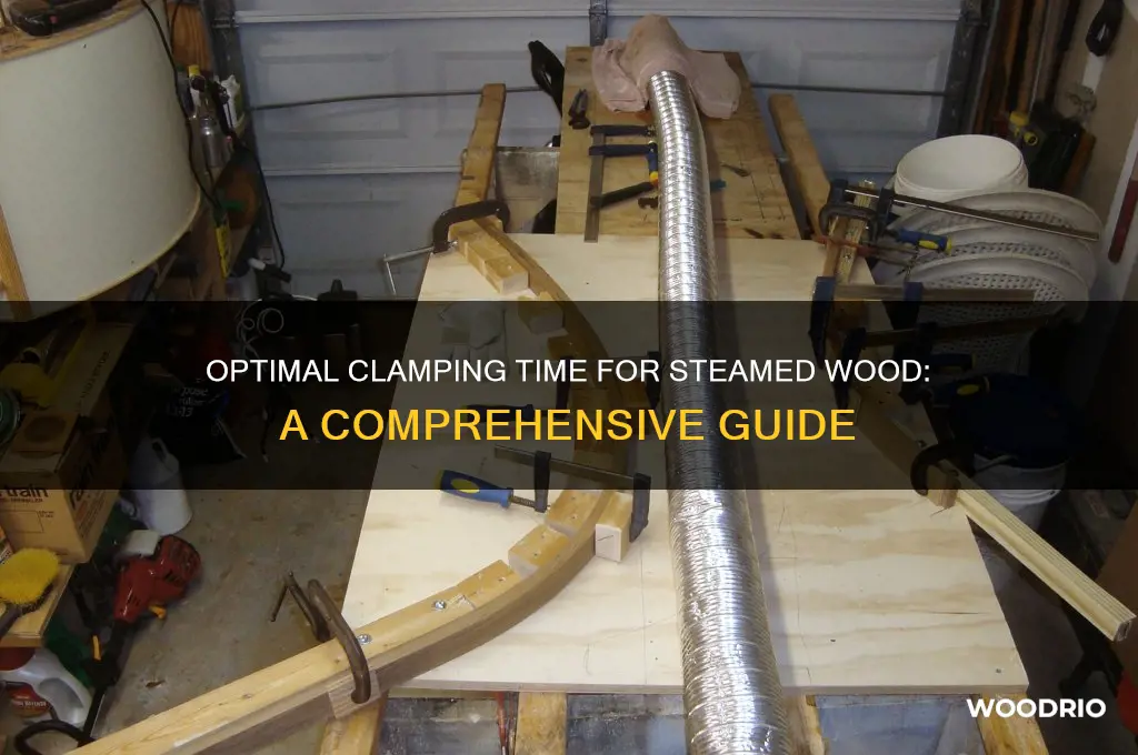 how long to clamp steamed wood