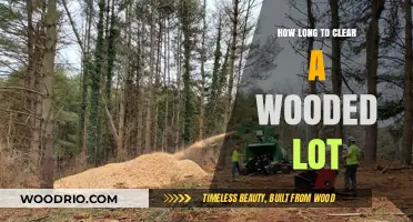 Clearing a Wooded Lot: A Comprehensive Guide to Timeline and Process