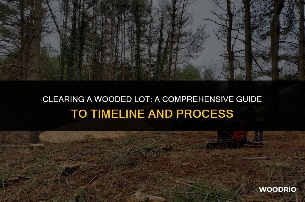 how long to clear a wooded lot