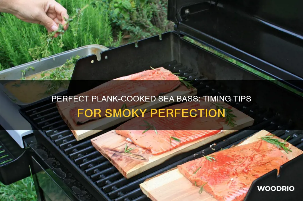 how long to cook sea bass on a wood plank