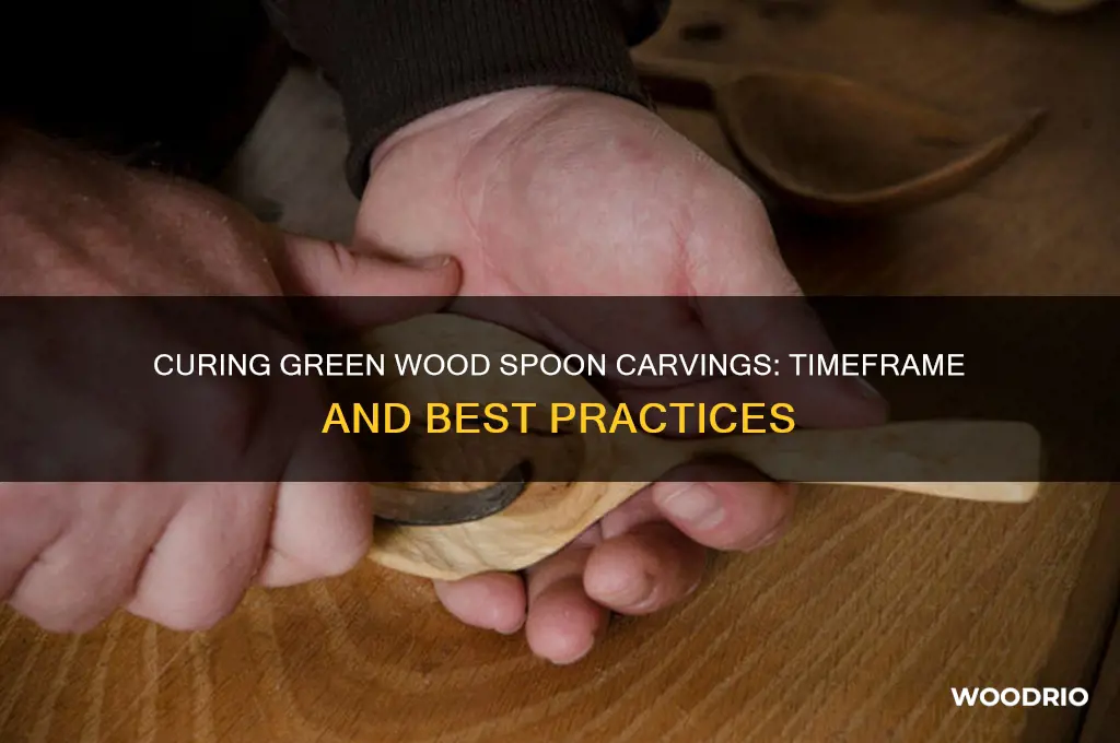how long to cure a green wood spoon carving