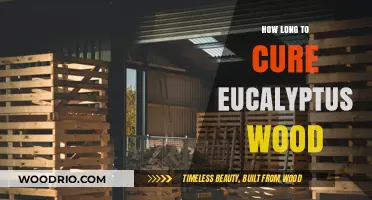 Curing Eucalyptus Wood: Essential Timeframe and Best Practices Revealed