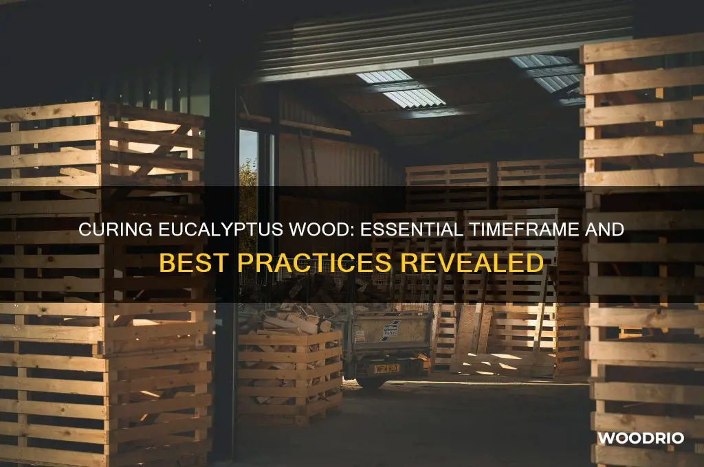 how long to cure eucalyptus wood
