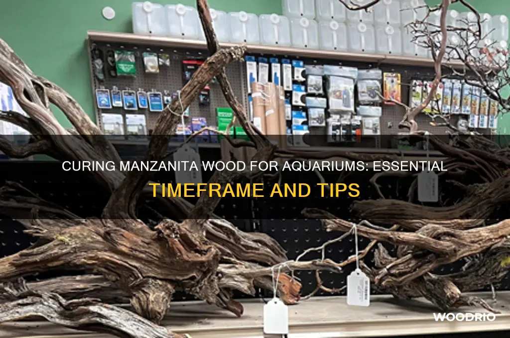 how long to cure manzanita wood for aquarium