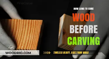 Mastering Wood Carving: Optimal Curing Time for Perfect Results