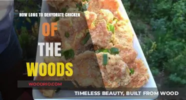 Dehydrating Chicken of the Woods: Optimal Time for Perfect Preservation