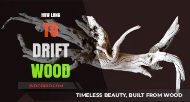 Mastering Driftwood: Time, Techniques, and Tips for Perfect Results