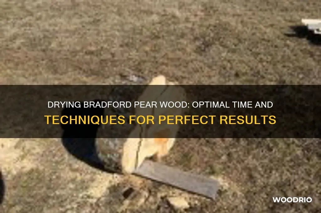 how long to dry bradford pear wood