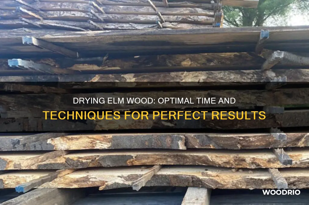 how long to dry elm wood