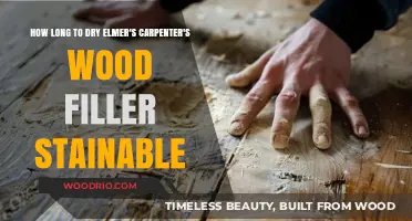 Drying Time Guide: Elmer's Carpenter's Wood Filler Stainable Process