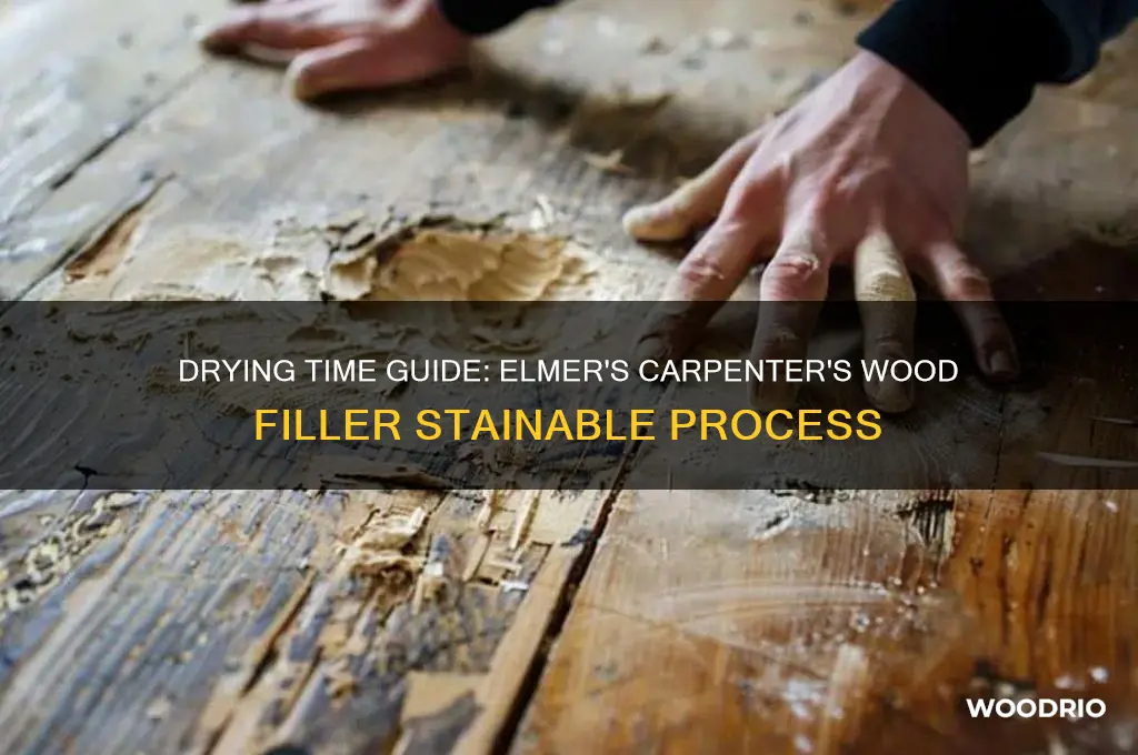 how long to dry elmer