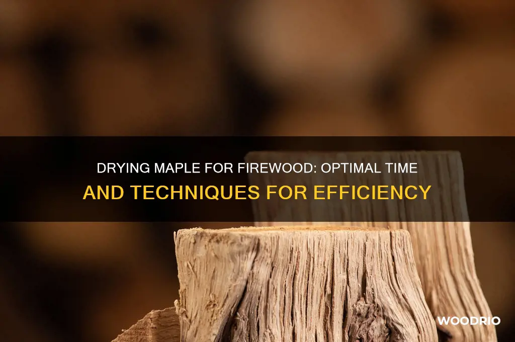 how long to dry maple for fire wood