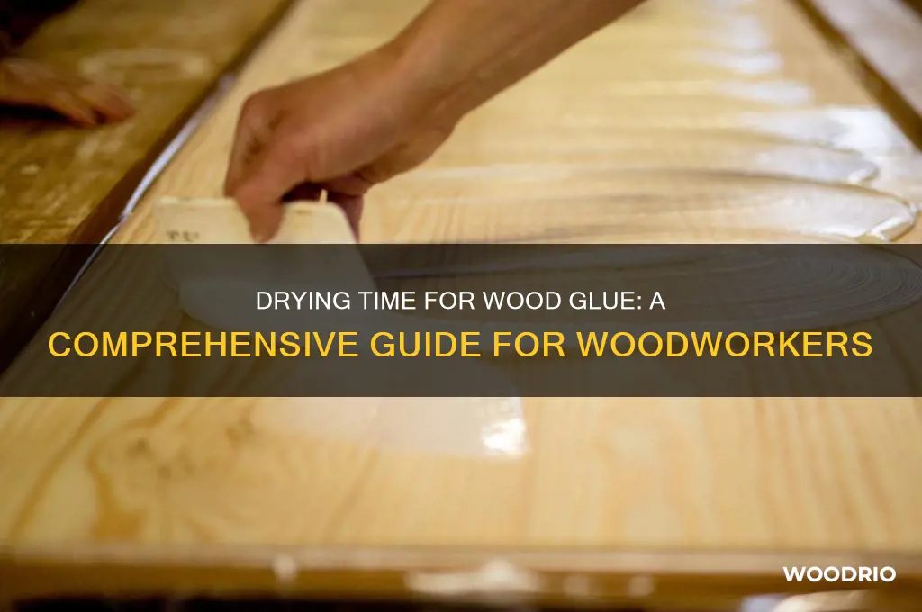 how long to dry wood glue