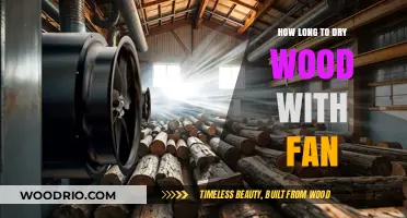 Speeding Up Wood Drying: Fan Techniques for Faster Results