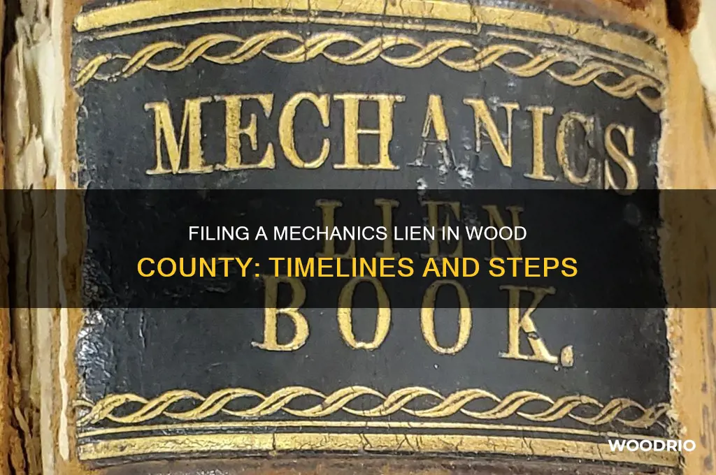 how long to file mechanics lein wood county