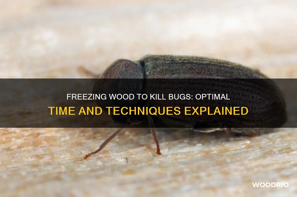 how long to freeze wood to kill bugs