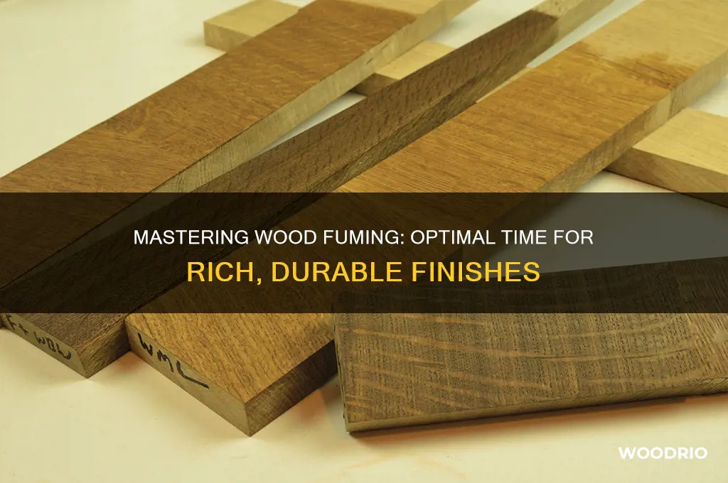 how long to fume wood