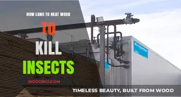 Effective Heat Treatment: Killing Insects in Wood Safely and Efficiently