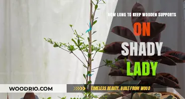 Shady Lady's Wooden Supports: Optimal Duration for Removal Guide