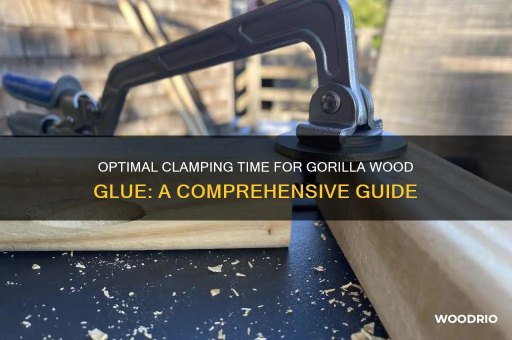 how long to leave gorilla wood glue clamped