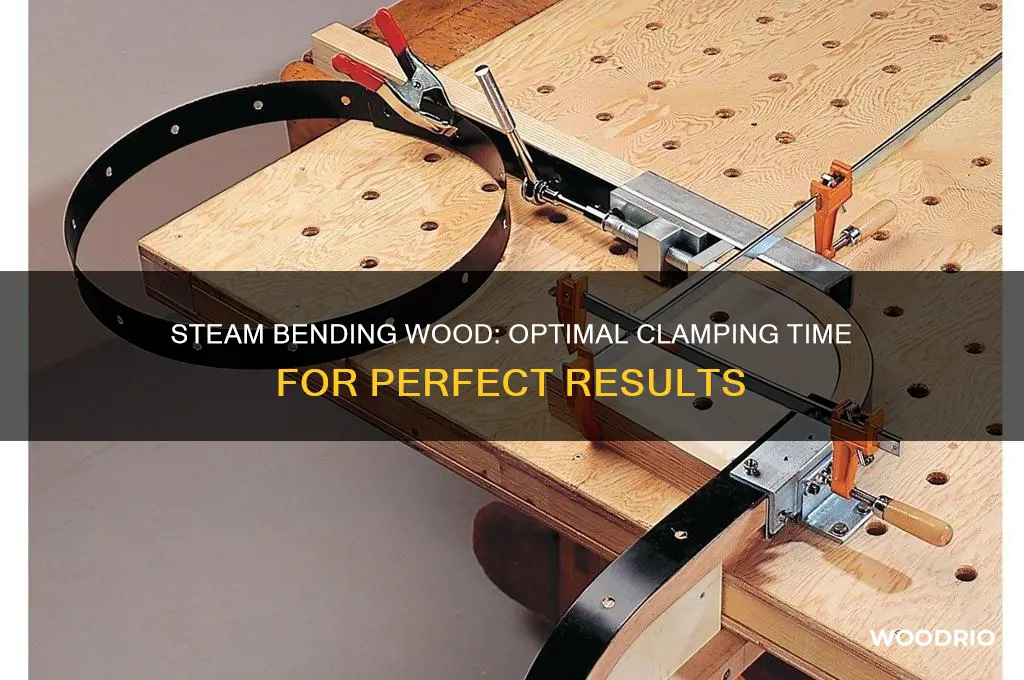 how long to leave steam bent wood clamped