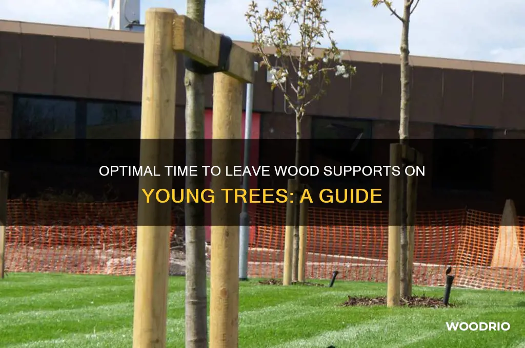 how long to leave the wood pieces on new trees
