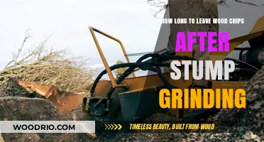 Post-Grind Wood Chip Management: Optimal Timing for Stump Grinding Cleanup