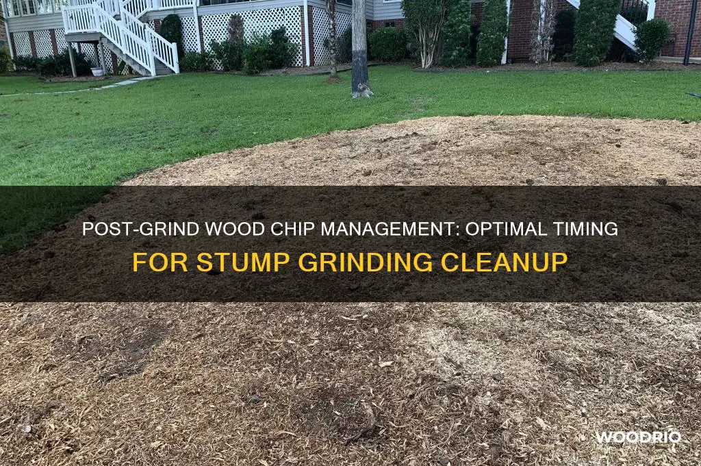 how long to leave wood chips after stump grinding