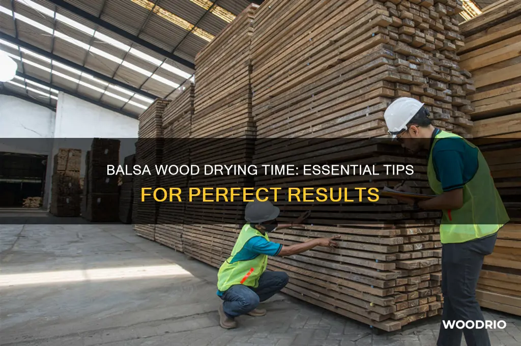 how long to let balsa wood dry