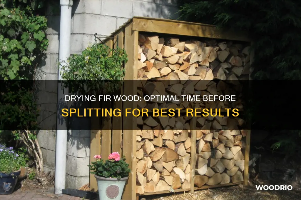 how long to let fir wood dry out before splitting
