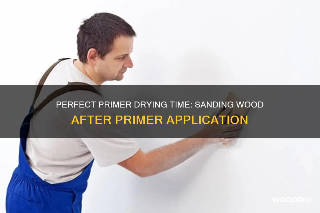 how long to let primer dry before sanding wood