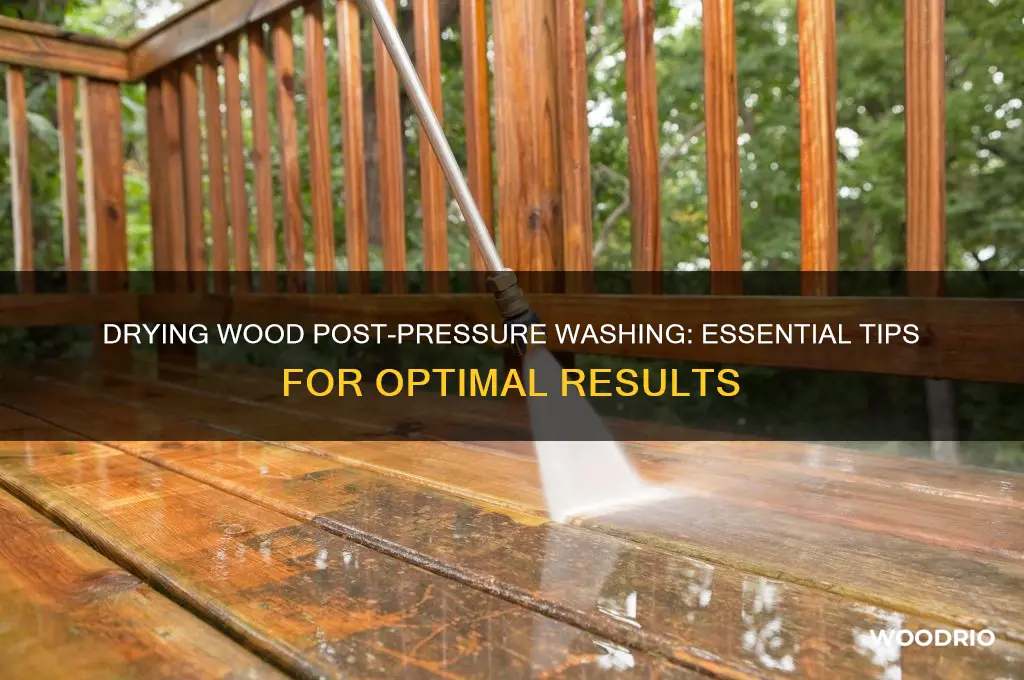 how long to let wood dry after pressure washing