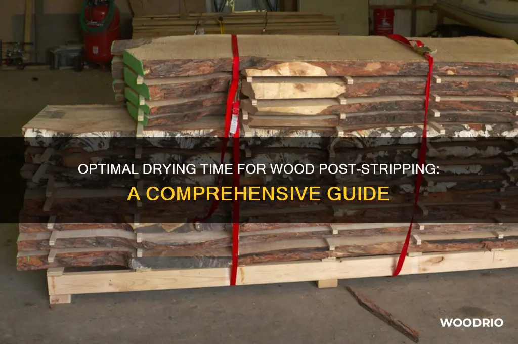 how long to let wood dry after stripping