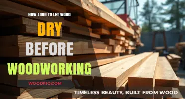 Mastering Wood Drying: Optimal Timing for Perfect Woodworking Results