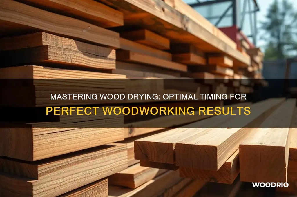 how long to let wood dry before woodworking