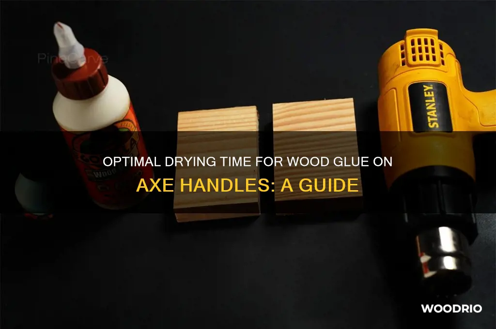 how long to let wood glue dry axe