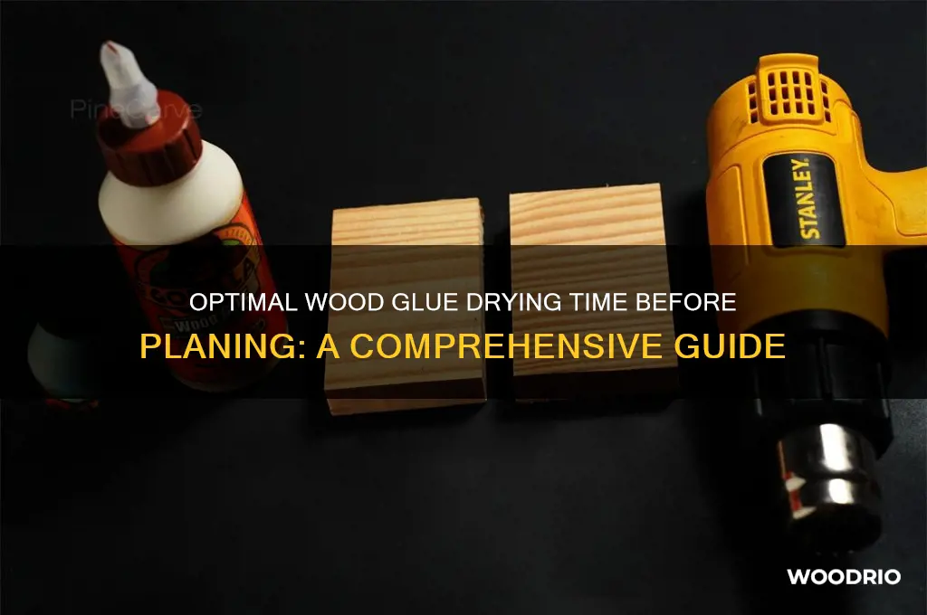 how long to let wood glue dry before planing