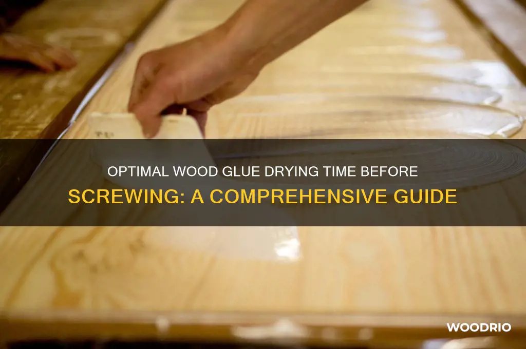 how long to let wood glue dry before screwing