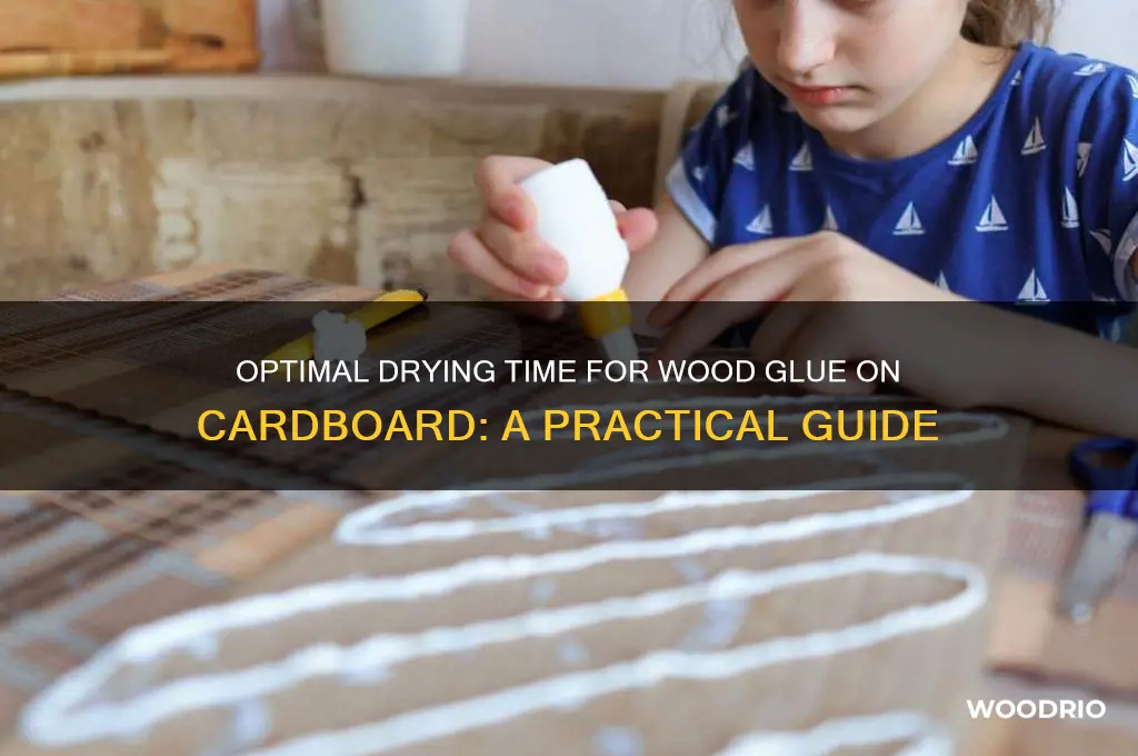 how long to let wood glue dry cardboard